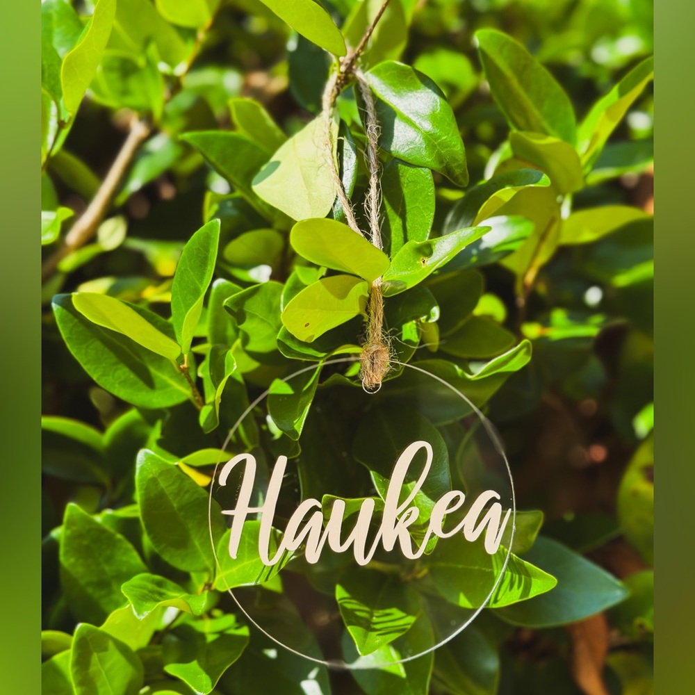 Custom Ornament 🎄 - Picture 3 of 5